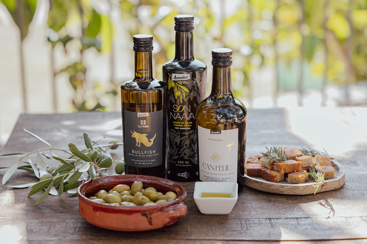 Bodegón de los tres aceites Can Feliu