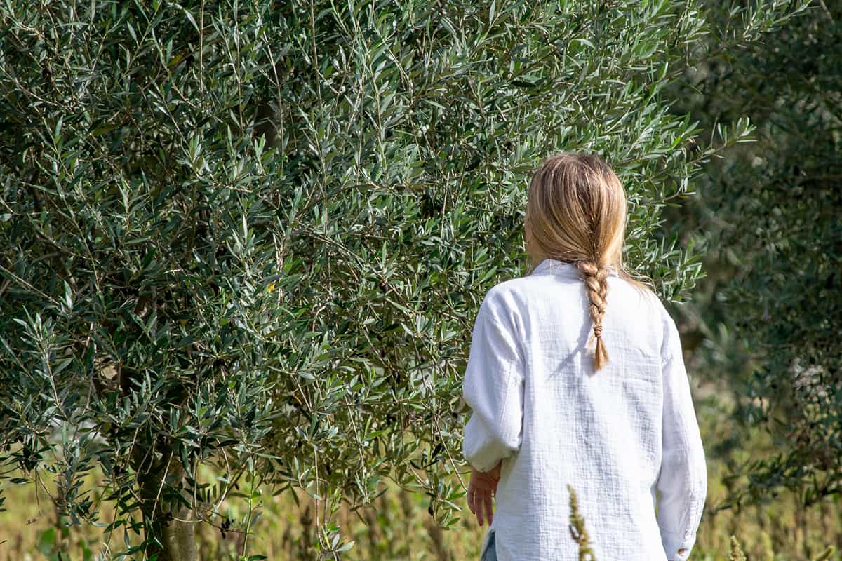 Chica rubia en los olivos Can Feliu