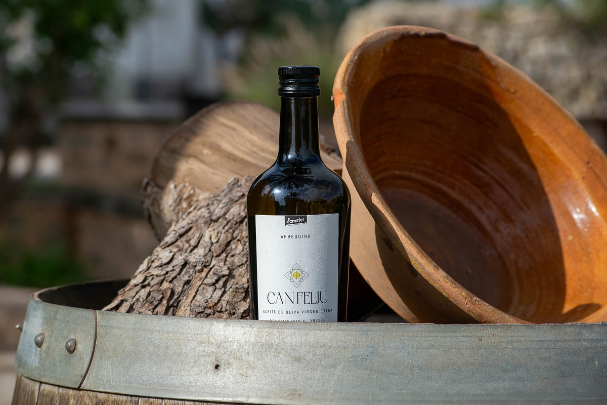 Bodegón aceite Can Feliu, vasija y tronco