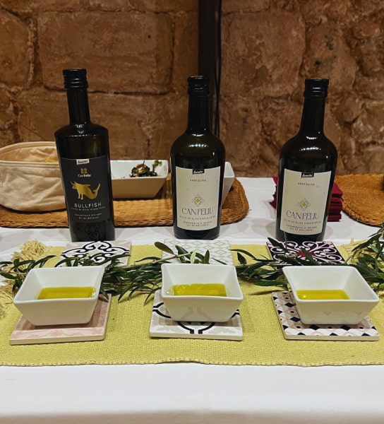 Tipos de aceites de oliva Can Feliu