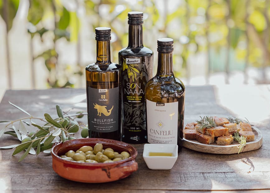 Manos sosteniendo aceitunas de diferentes variedades